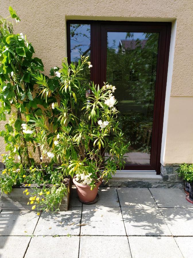 Ubytování Bludov u lázní Exterior foto